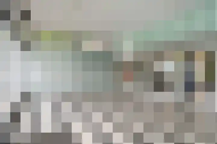 Jonkerbos 28 Zoetermeer thumbnail 14
