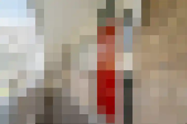 Jonkerbos 28 Zoetermeer thumbnail 15