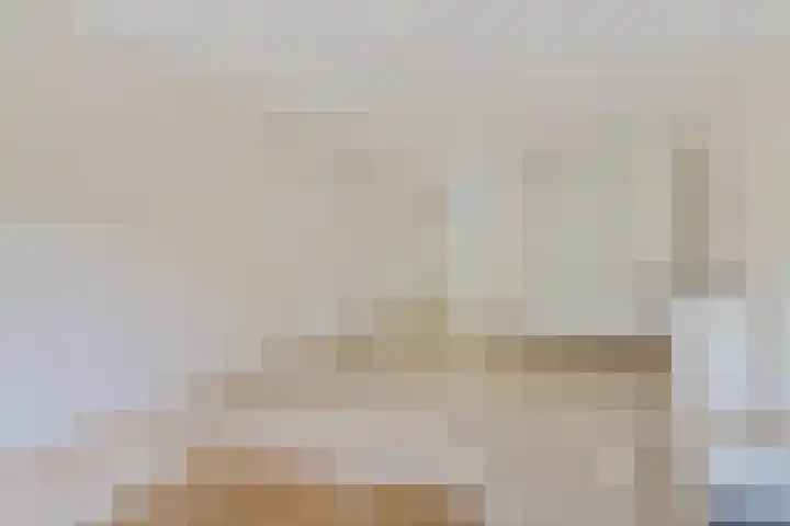 Jonkerbos 28 Zoetermeer thumbnail 21