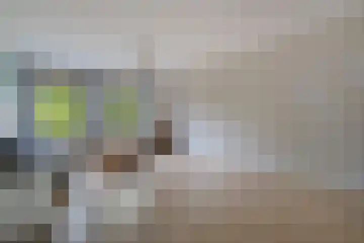 Jonkerbos 28 Zoetermeer thumbnail 22