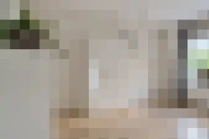 Jonkerbos 28 Zoetermeer thumbnail 27