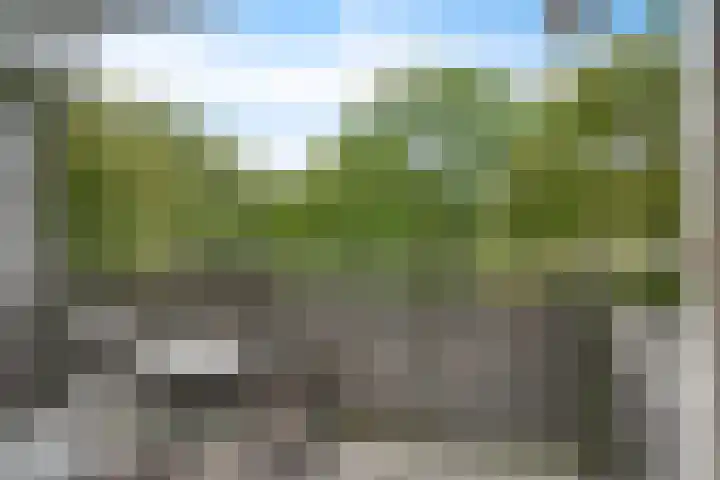 Jonkerbos 28 Zoetermeer thumbnail 32