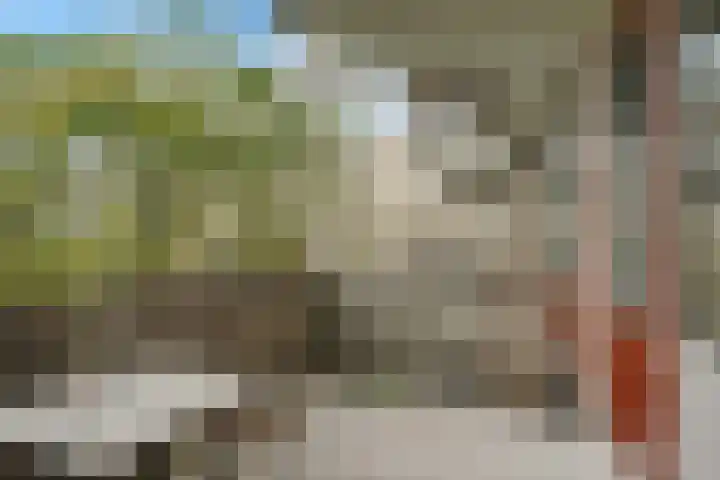 Jonkerbos 28 Zoetermeer thumbnail 33