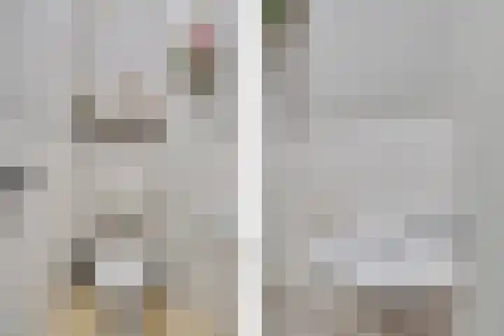 Jonkerbos 28 Zoetermeer thumbnail 39