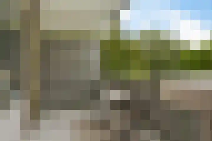 Jonkerbos 28 Zoetermeer thumbnail 4
