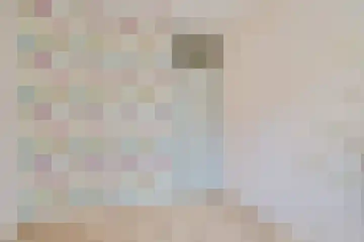 Jonkerbos 28 Zoetermeer thumbnail 42