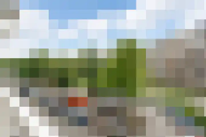 Jonkerbos 28 Zoetermeer thumbnail 47