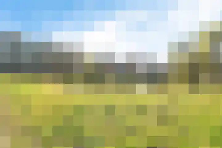 Jonkerbos 28 Zoetermeer thumbnail 48