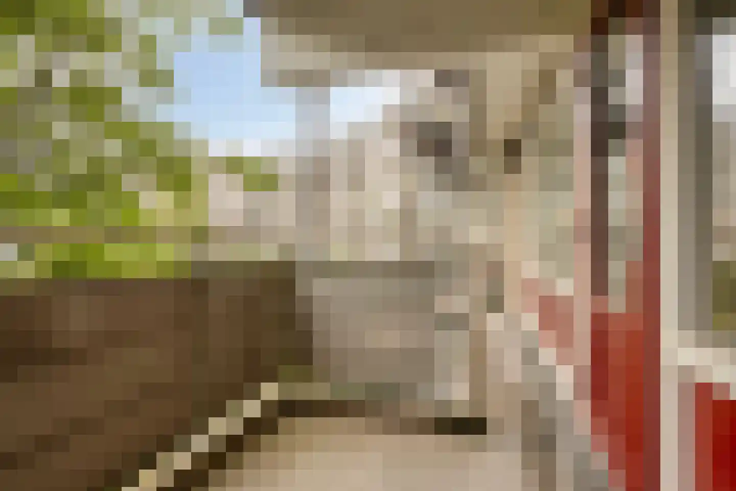 Jonkerbos 29 Zoetermeer thumbnail 15