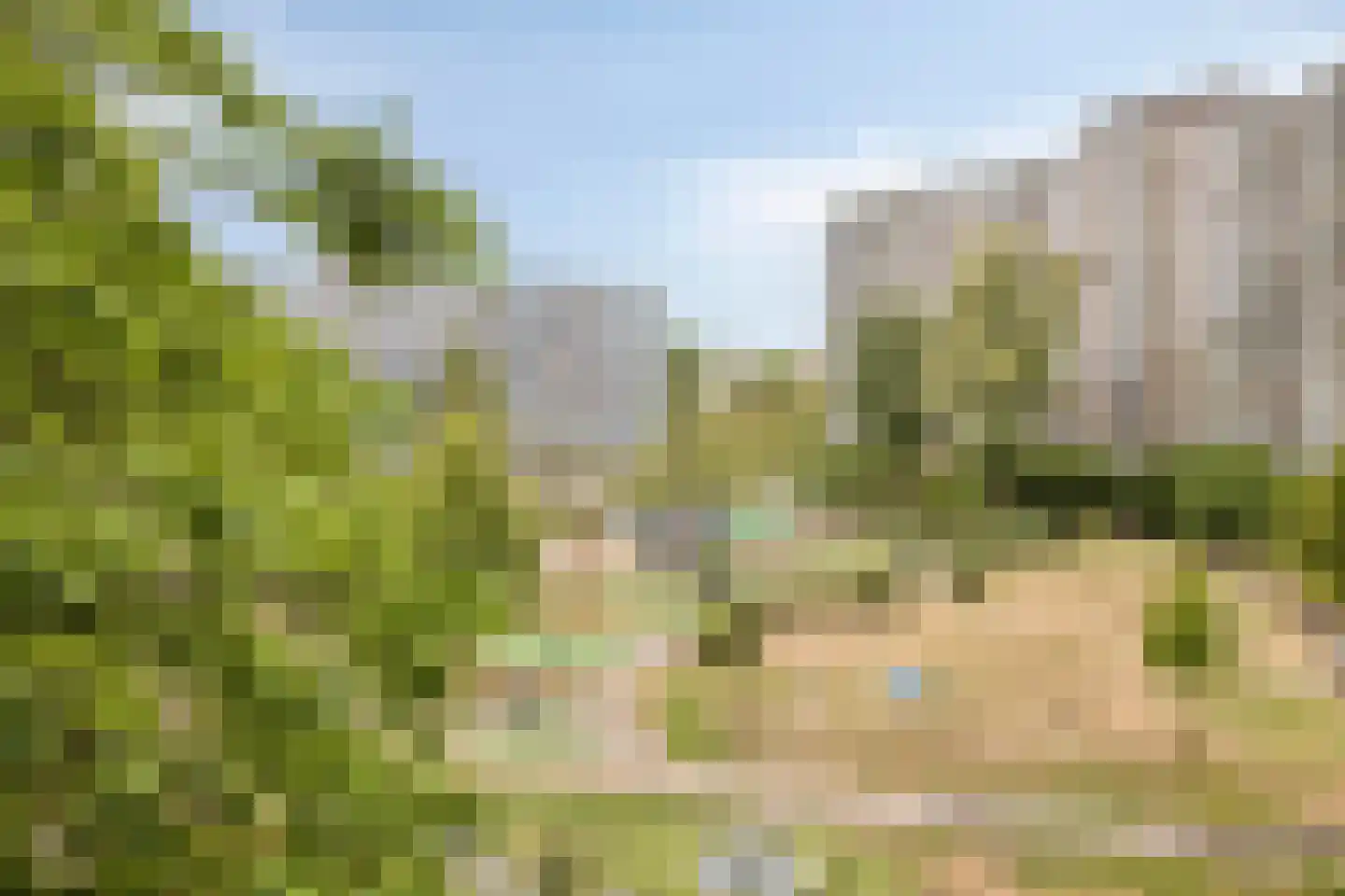 Jonkerbos 29 Zoetermeer thumbnail 16