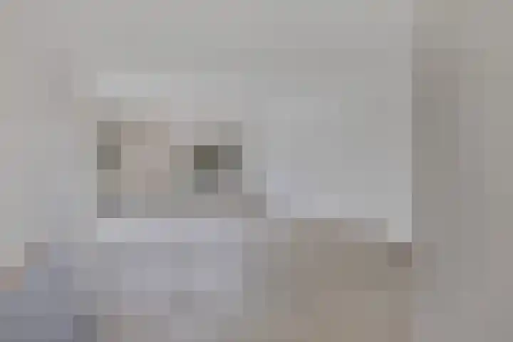 Jonkerbos 3 Zoetermeer thumbnail 10