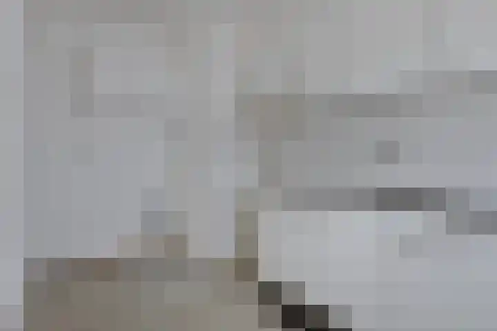 Jonkerbos 3 Zoetermeer thumbnail 15