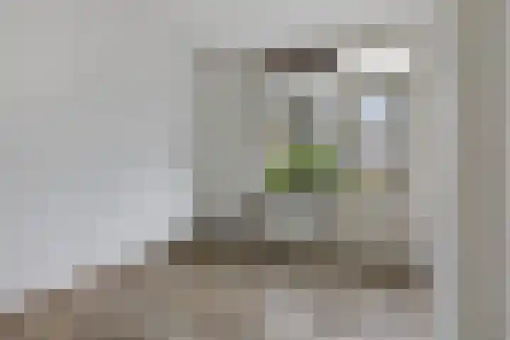 Jonkerbos 3 Zoetermeer thumbnail 17