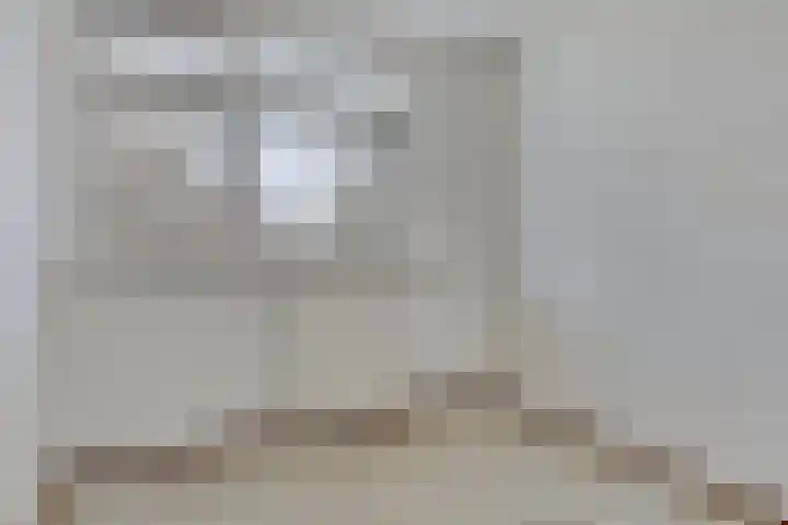 Jonkerbos 3 Zoetermeer thumbnail 19
