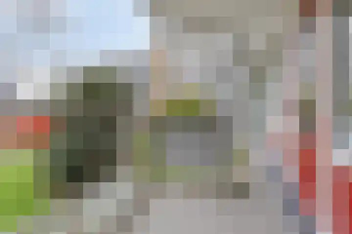 Jonkerbos 3 Zoetermeer thumbnail 23