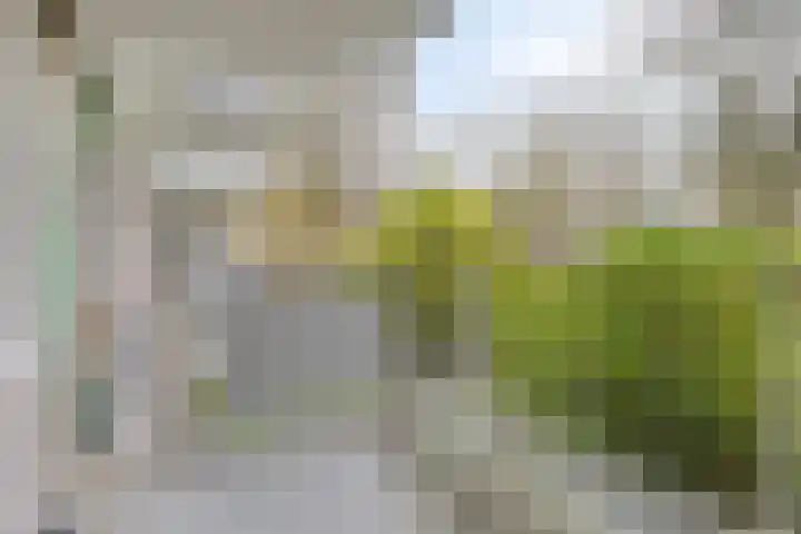 Jonkerbos 3 Zoetermeer thumbnail 24