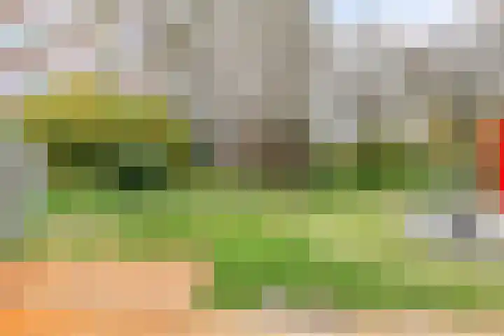 Jonkerbos 3 Zoetermeer thumbnail 25