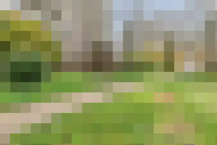 Jonkerbos 3 Zoetermeer thumbnail 26