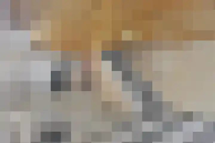 Jonkerbos 3 Zoetermeer thumbnail 27