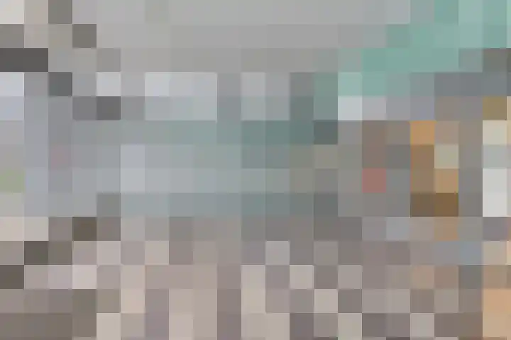 Jonkerbos 3 Zoetermeer thumbnail 5
