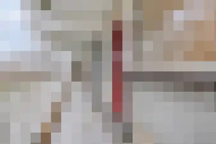 Jonkerbos 3 Zoetermeer thumbnail 6