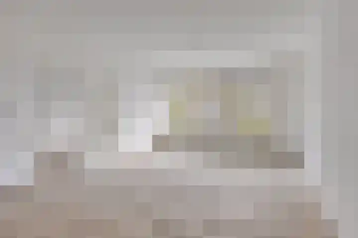 Jonkerbos 3 Zoetermeer thumbnail 9