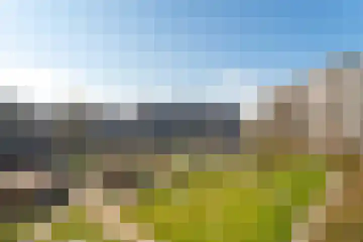 Jonkerbos 44 Zoetermeer thumbnail 10