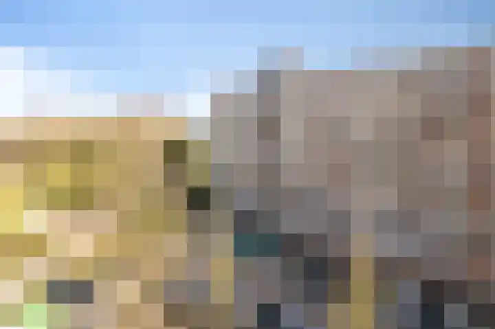 Jonkerbos 44 Zoetermeer thumbnail 16