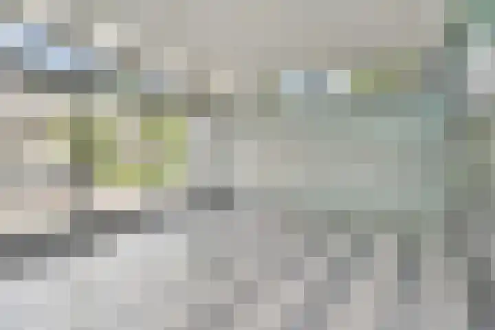 Jonkerbos 44 Zoetermeer thumbnail 20