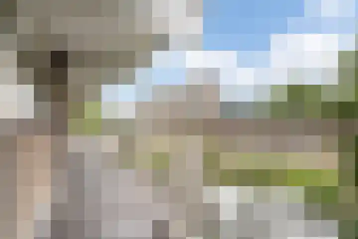 Jonkerbos 44 Zoetermeer thumbnail 22