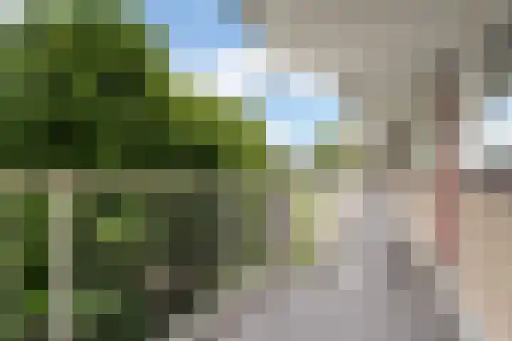 Jonkerbos 44 Zoetermeer thumbnail 23