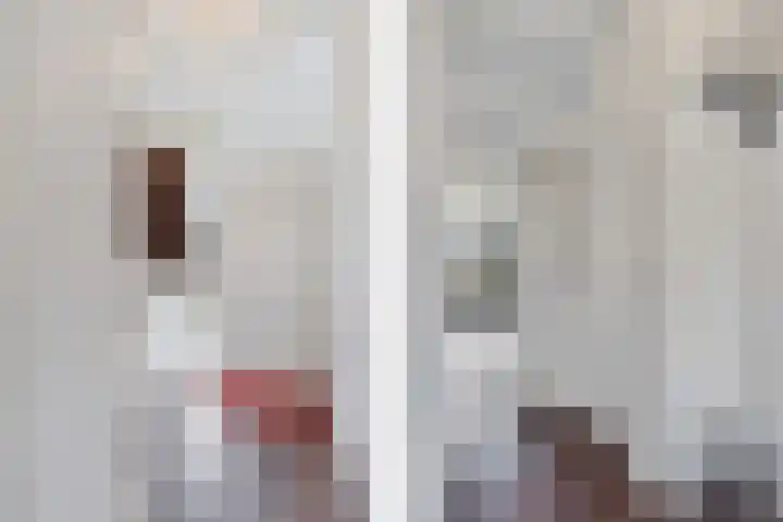 Jonkerbos 44 Zoetermeer thumbnail 25