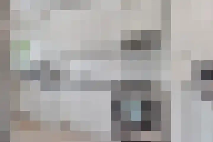Jonkerbos 44 Zoetermeer thumbnail 31