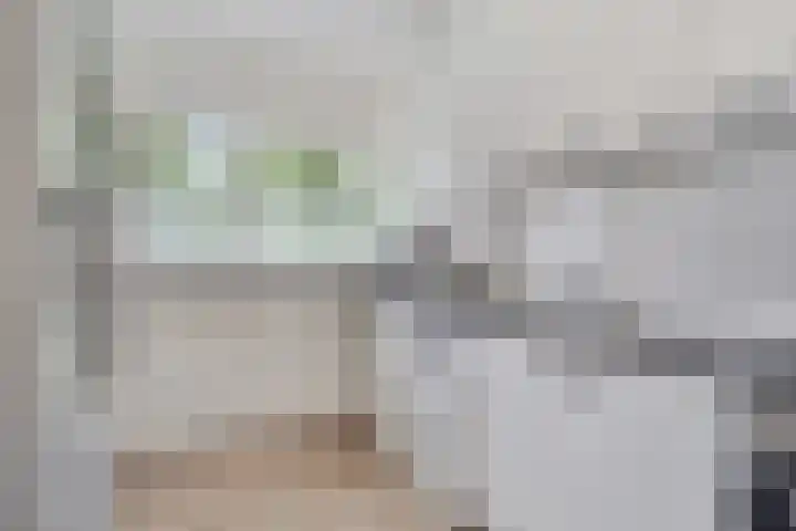 Jonkerbos 44 Zoetermeer thumbnail 32