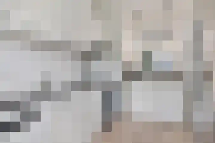 Jonkerbos 44 Zoetermeer thumbnail 33