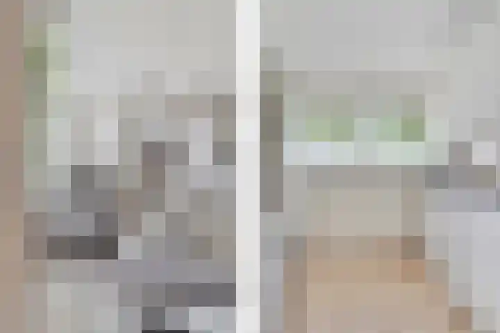 Jonkerbos 44 Zoetermeer thumbnail 34