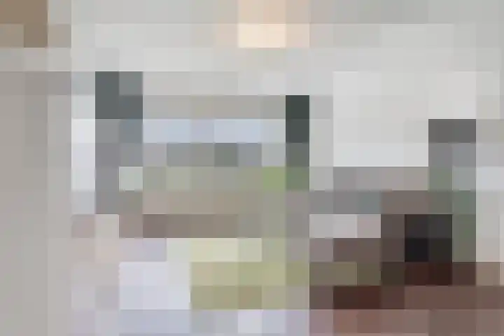 Jonkerbos 44 Zoetermeer thumbnail 39