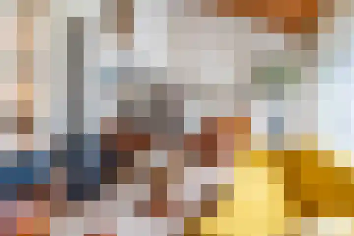 Jonkerbos 44 Zoetermeer thumbnail 41