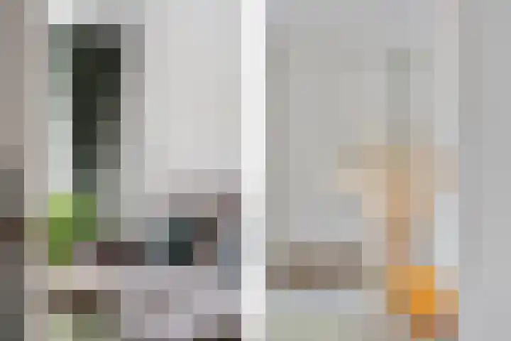 Jonkerbos 44 Zoetermeer thumbnail 41