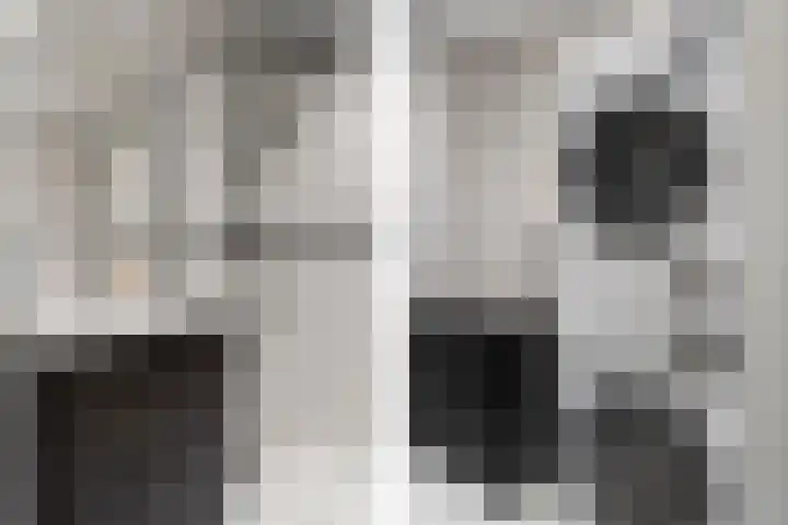 Jonkerbos 44 Zoetermeer thumbnail 47