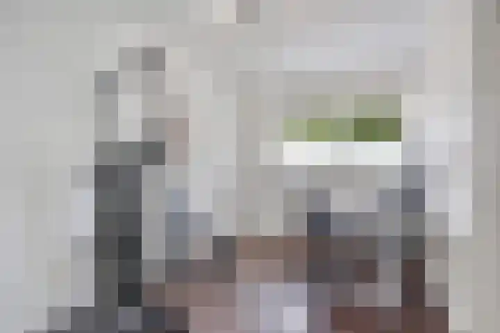 Jonkerbos 44 Zoetermeer thumbnail 50