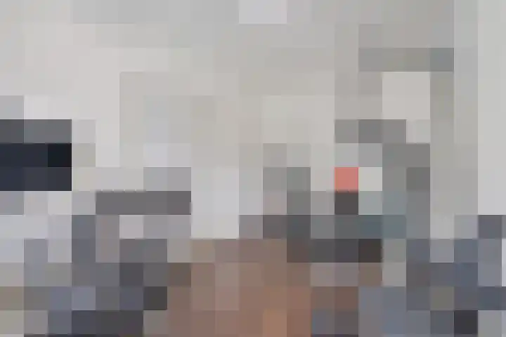 Jonkerbos 44 Zoetermeer thumbnail 51