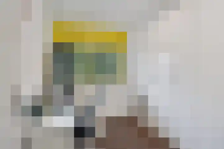 Jonkerbos 44 Zoetermeer thumbnail 52