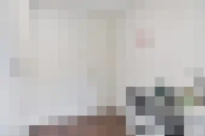 Jonkerbos 44 Zoetermeer thumbnail 53