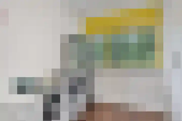 Jonkerbos 44 Zoetermeer thumbnail 54