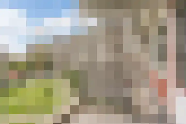 Jonkerbos 44 Zoetermeer thumbnail 55