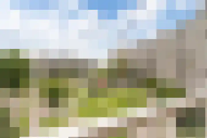 Jonkerbos 44 Zoetermeer thumbnail 56