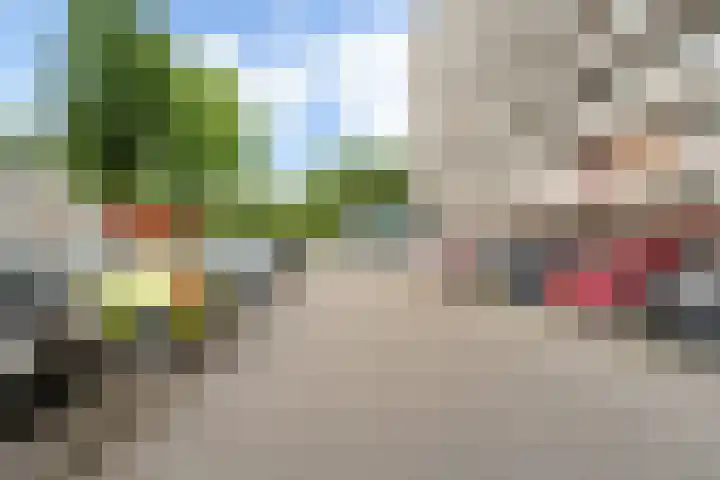 Jonkerbos 44 Zoetermeer thumbnail 59