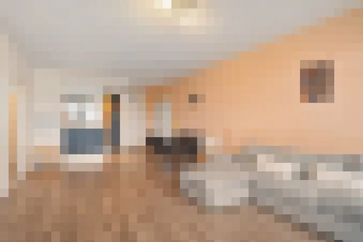 Jonkerbos 73 Zoetermeer thumbnail 13