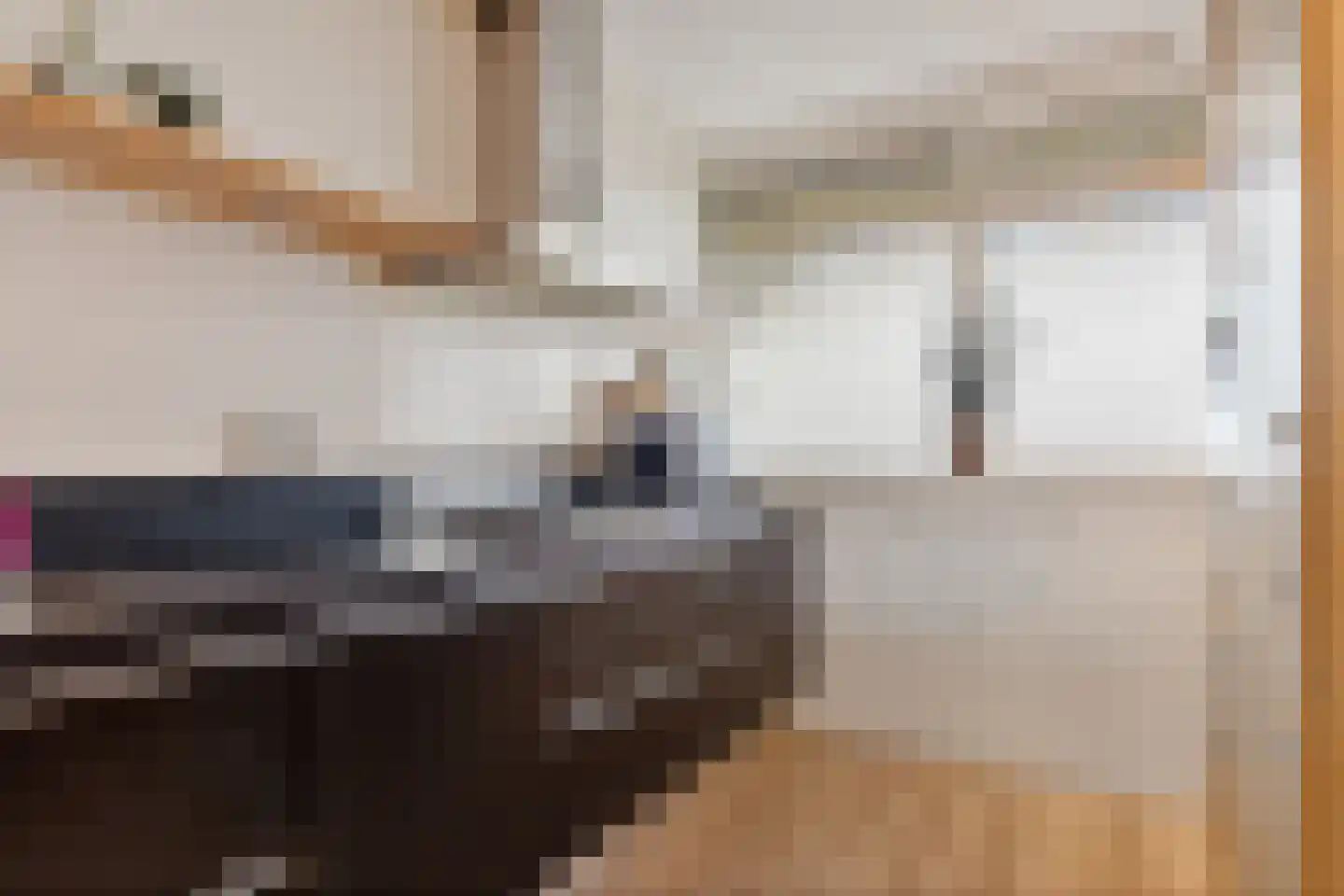 Jonkerbos 73 Zoetermeer thumbnail 16